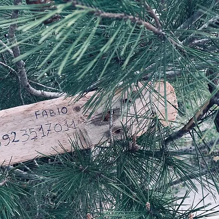 Rossella Free Parking ألغيرو