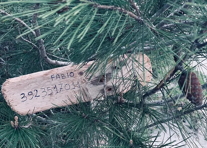 Rossella Free Parking ألغيرو